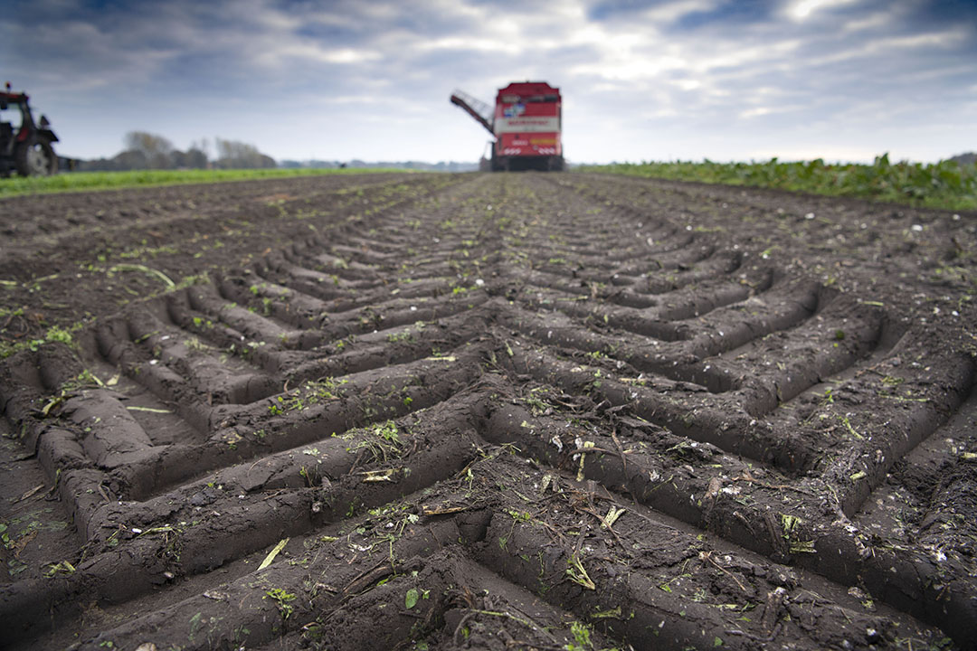 soil compaction